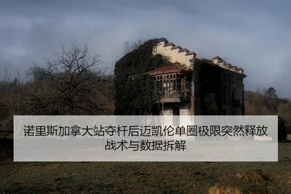 诺里斯加拿大站夺杆后迈凯伦单圈极限突然释放 战术与数据拆解