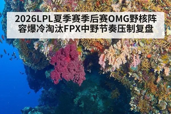 2026LPL夏季赛季后赛OMG野核阵容爆冷淘汰FPX中野节奏压制复盘