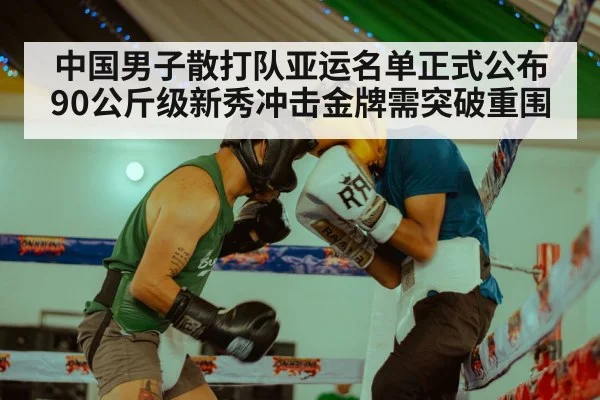 中国男子散打队亚运名单正式公布 90公斤级新秀冲击金牌需突破重围